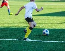 世界杯塞尔,维亚概况,开云体育,开云体育,开云体育官网,开云体育app,开云体育app下载